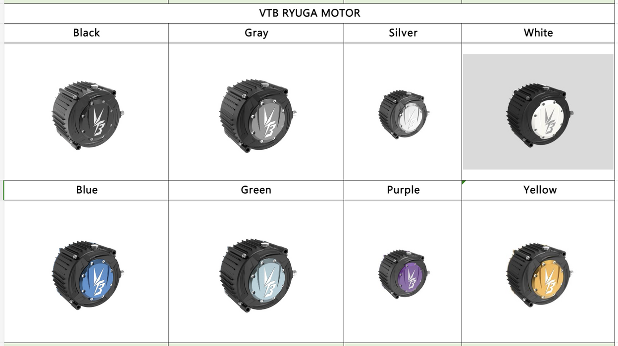 VTB Ryuga 81kW motor