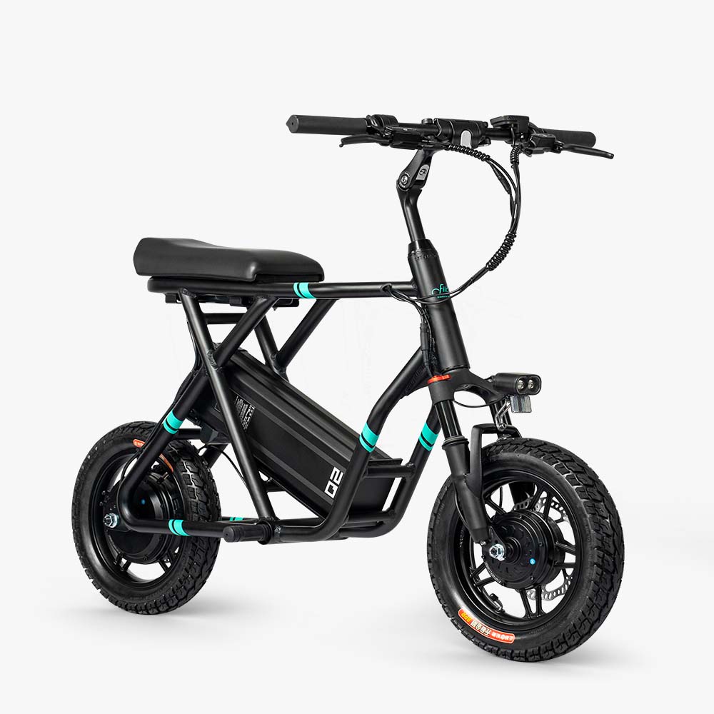 Fiido Q2 Dual-Motor Folding Electric Scooter — 1200W, IP54
